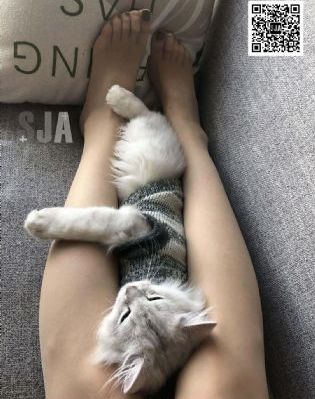 国产品牌工业口罩排名_720免费观看超清